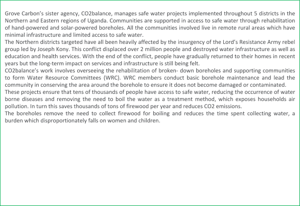 Copy Of Content For Individual Carbon Credit Purchases Giving Tuesday