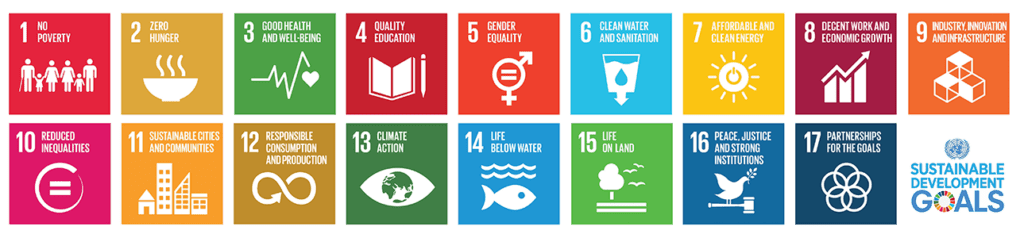 17 Sdgs 3