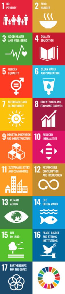 Sdgs Vertical Bar