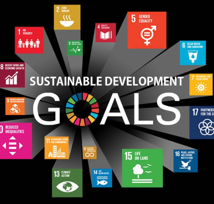 Sustainable Development Goals Img