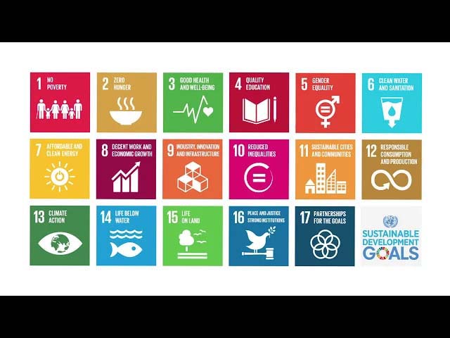 What are the SDGs and why everybody has started talking about them?